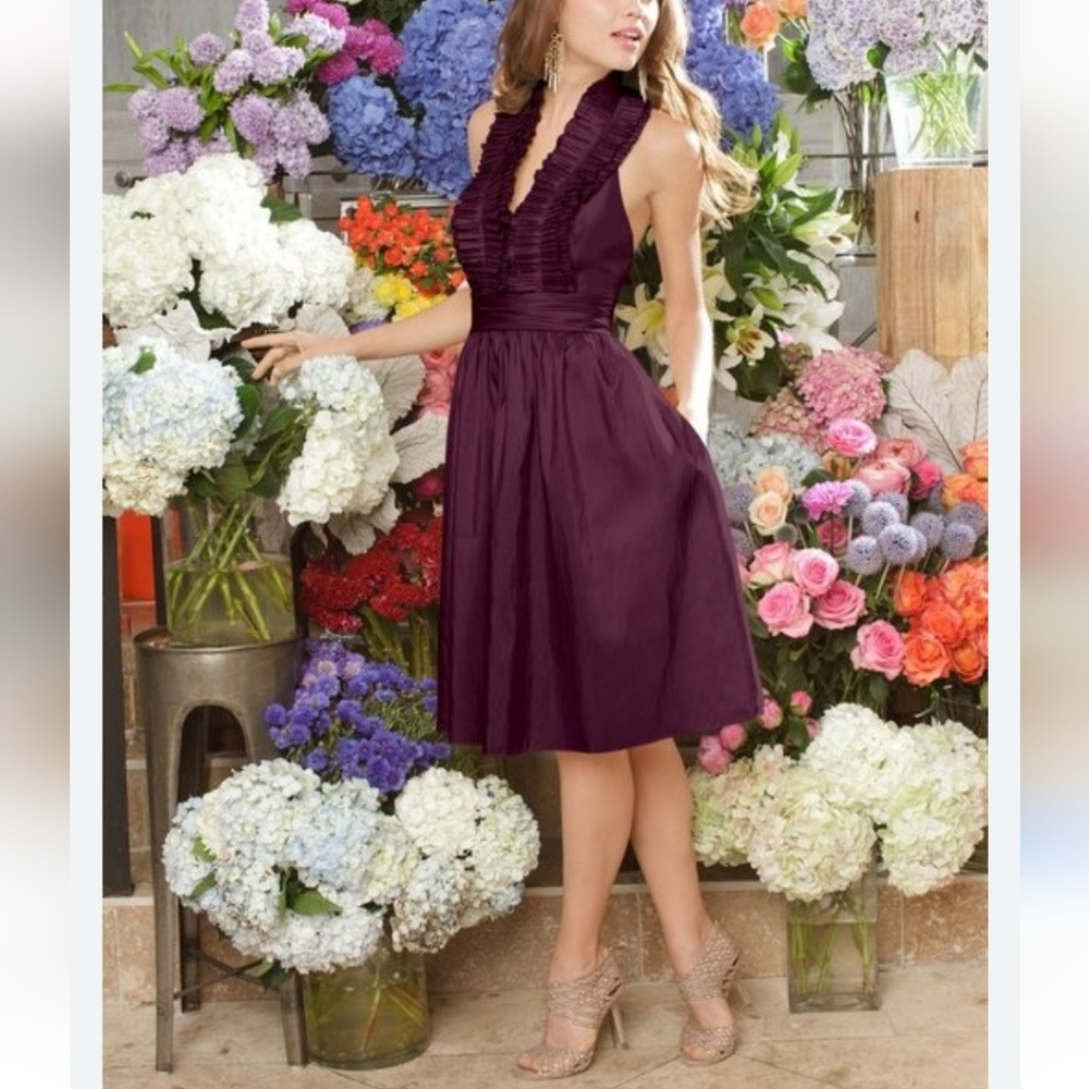 NWT Anthropologie SUNNER Silk Dress Size2